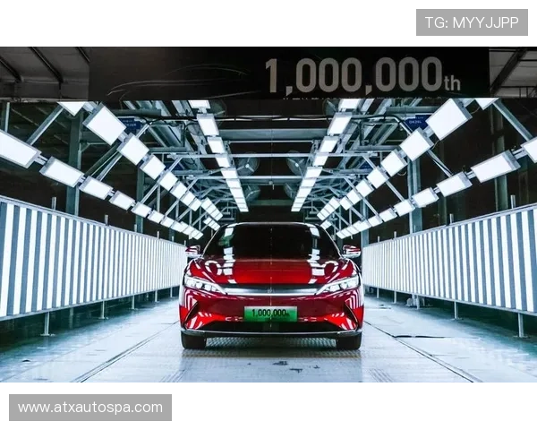 利来国际ag集团未来发展规划与创新技术应用趋势分析