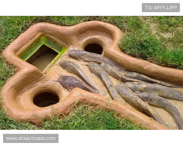 深入分析PA捕鱼中的常见陷阱和应对策略让你避免损失轻松获胜